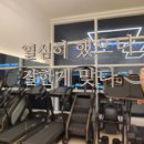 앵그리바디짐 이미지