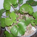 동의중학교 이미지