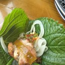 제일닭갈비2호점 | 춘천 숯불 닭갈비 맛집🔥 통나무집닭갈비 2호점 (간장·소금·청양 매콤 닭목살 후기)