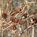 영어로 말하자 이미지