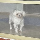 하이난다방