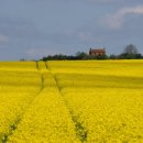 서울갈비 이미지
