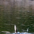 오늘의 포토뉴스 2007.10.13 토요일 이미지