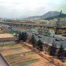 부산중앙여자고등학교 이미지