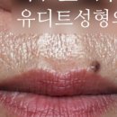 유디트의원