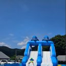 강촌포도펜션&오토캠핑장 이미지