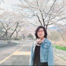 심안 운영자님 생일을 축하드립니다 이미지
