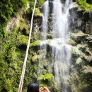 더함축산 | 필리핀 세부 고래상어 후기 모알보알 투어 한번에