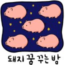 공인 대한 번역행정사 네이버블로그