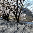 미르오토 이미지