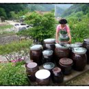 고북벨리 이미지