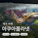 던킨도너츠의왕역사점 | [제주도 서귀포]제주 실내 관광지 추천｜아쿠아플라넷 제주 입장권 할인 방법·공연 시간 총정리