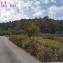 천남리 이미지