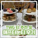 싱가포르 TWG 티 추천 애프터눈티 세트 내돈내산 솔직 후기 (마리나베이샌즈 쇼핑몰)