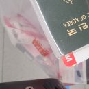 (주)다올미트 | [25｡·͜·｡ 시골쥐 나트랑 여행기]