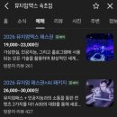 속초 실내 가볼만한 곳] 뮤지엄엑스 속초점 뮤지엄패스 AI패키지 후기 (+주차·할인정보·제휴리조트 정리)