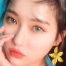 렌즈베리 이미지