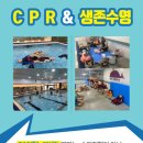 키즈웨일즈 이미지