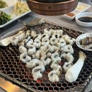보성 | 2024 보성마라톤 하프 후기