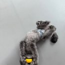 온리펫
