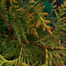 도화한의원 이미지