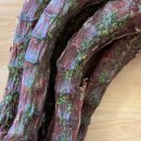 티어하우스 이미지