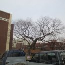 부천여중 이미지