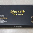 천마여행 이미지