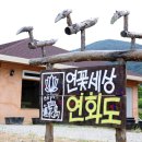 연꽃세상 이미지