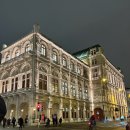 한국맥도날드 유한회사 시청점 | 동유럽 신혼여행 10박12일｜비엔나 3박4일 일정 후기｜오스트리아 세미패키지·자유여행·야경·맛집