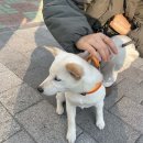 반야월정형외과연합의원 이미지