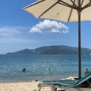 포피스 피자 이미지