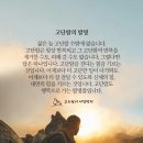 고단함의 발명 이미지