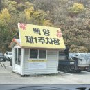 백양사약수터 | 엘로우 시티 장성 : 내장산 백상의 가을 단풍 구경🍂🍁