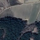 지매약국 이미지