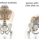연세광혜병원 이미지