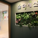 숲속세신