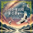 사주명리학 이미지