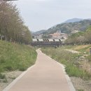 율하천자전거길 이미지