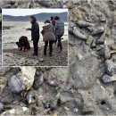 호포유어 이미지