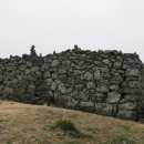 협자연대 이미지