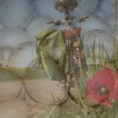 건강한 콩팥 유지하기 이미지