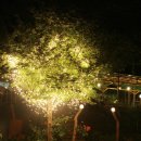 늘푸른산장 이미지