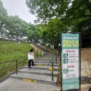 아이와 청주) 문의문화유산단지 대청호 미술관 기획전 <파동의 풍경>
