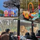 조이랜드어린이집 | 대전 아이랑 오월드 아프리카 사파리 팁 겨울 평일 비오는날 방문후기