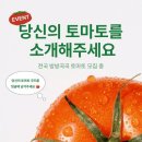 토마토프라자 이미지