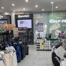 성남테니스클럽 | 이천중고골프채, 가성비 좋은 입문자용 여성 아이언세트, 요넥스 이존엘리트 구매 후기
