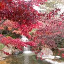 용바위산장가든 이미지