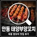 태양부양꼬치 - 춘천시 지석로 89 | 안동 옥동 맛집 태양부양꼬치 후기