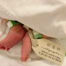 디어원케이크 | 디어원산후조리원 6일차-9일차 후기 ㅣ 슬기로운 조리원생활 ㅣ 조캉스생활 ㅣ 식사 ㅣ 보떼비알 산후...